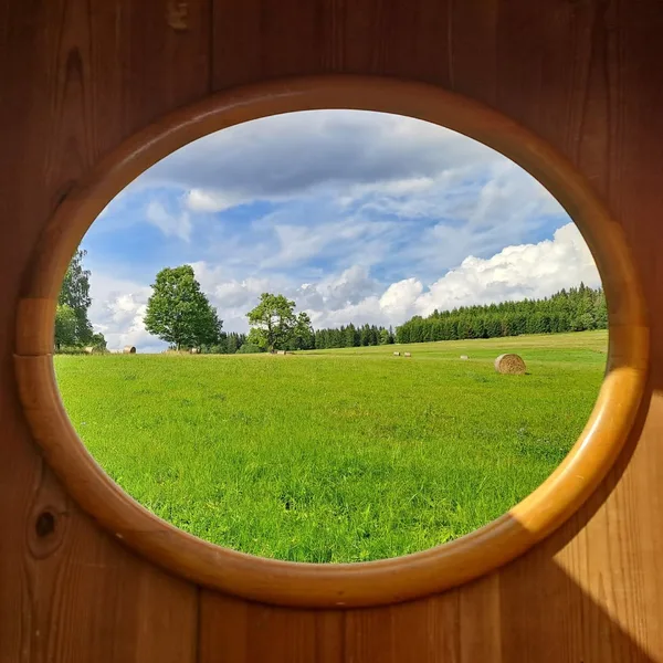 PICTURE IN THE CUPBOARD